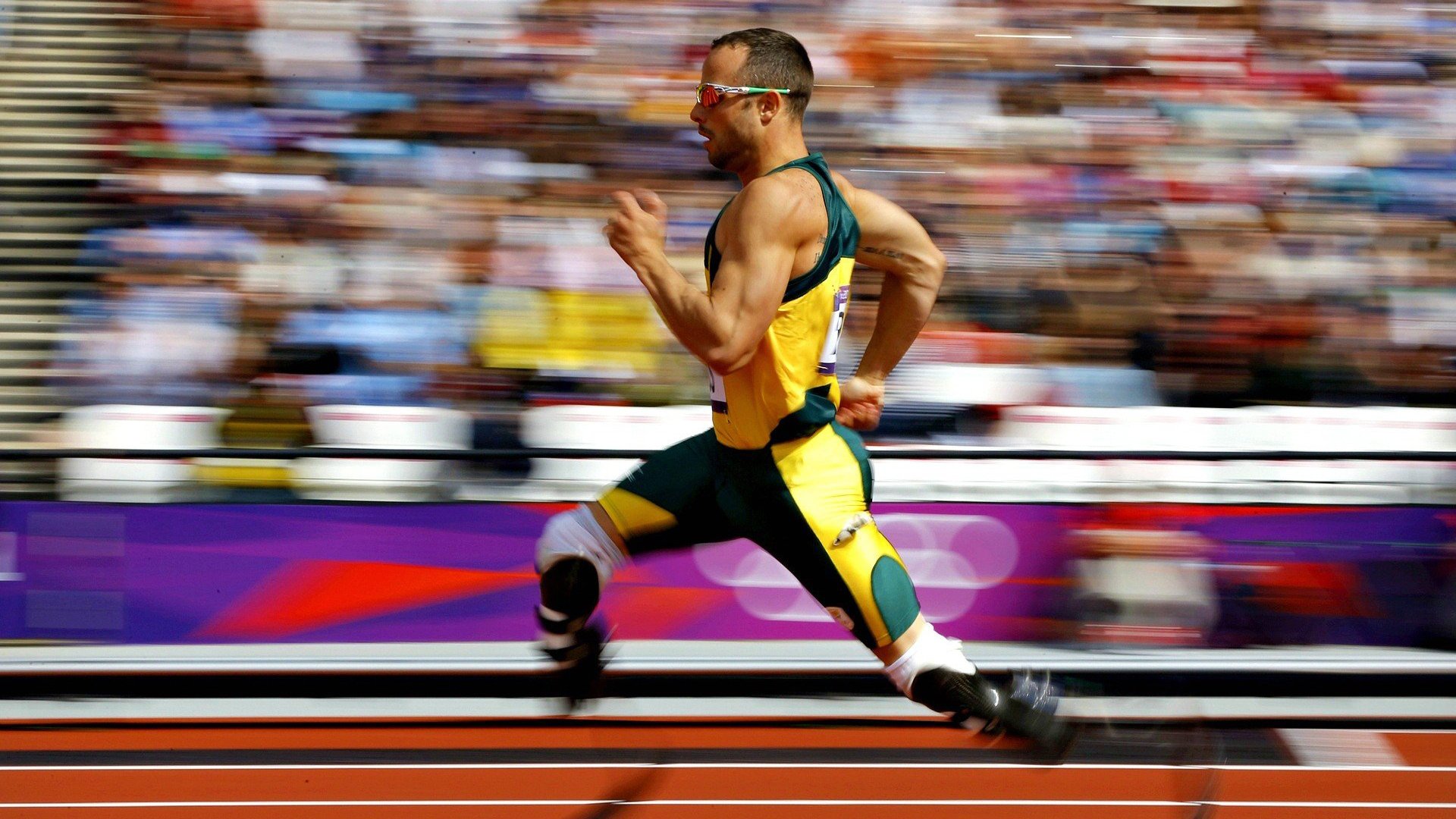 关注数字健身内容创作趋势的多媒体发布平台,关注数字健身内容创作趋势的多媒体发布平台有哪些